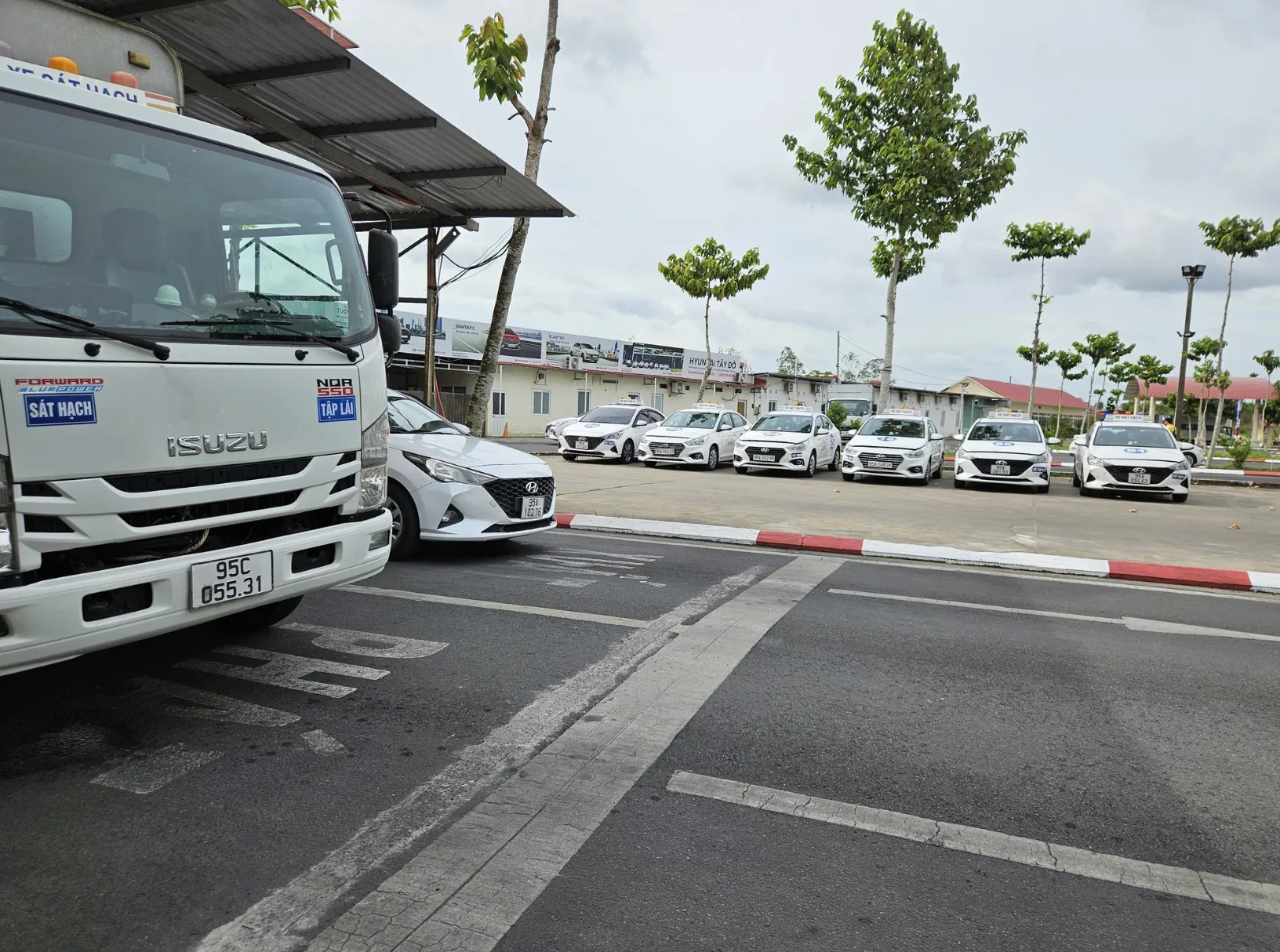 Xe tập lái hạng C