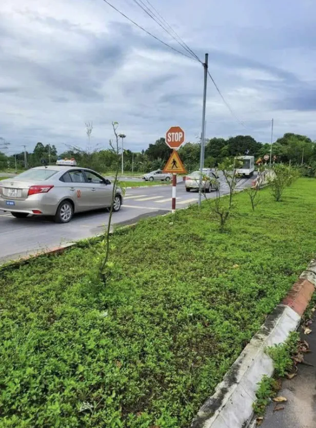 Hình ảnh thực tế 6