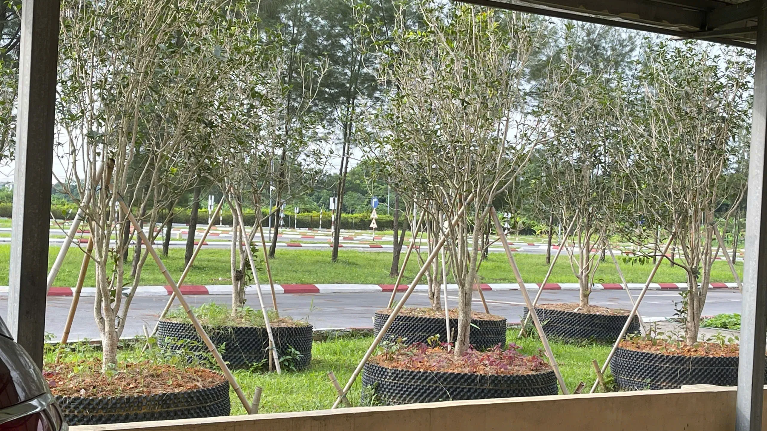 Hùng Vương Gallery 15